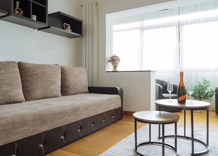 Apartment Cr Urban Decebal Center *