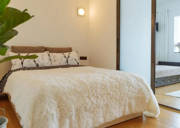 Cr Urban Decebal Center *