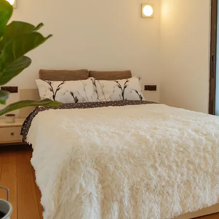 Cr Urban Decebal Center Apartman