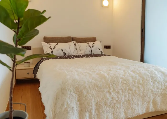 Cr Urban Decebal Center Apartman